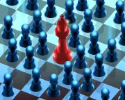 US Grassroots Activism Surges as Citizens Fight for Rights