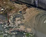 Water Bosses Denied Millions in Bonuses as Ofwat Cracks Down on Poor Performance