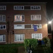 West London Fire Tragedy: Beloved Family Cat Perishes in Devastating Blaze