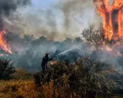 Why Net Zero Distracts From Fossil Fuel Elimination Imperative