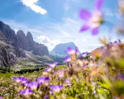 Win £200 Coolstays Voucher: Share Your Best European Travel Discovery