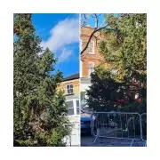 Wisbech's 'Crap' Christmas Tree Declared 'Absolute Insult' by Villagers
