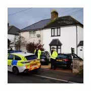 XL Bully Attack Kills Baby in Wales: Two Arrested