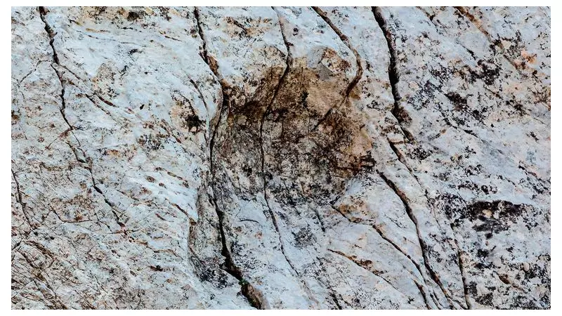 20,000 Dinosaur Footprints Unearthed on Italian Rock Face