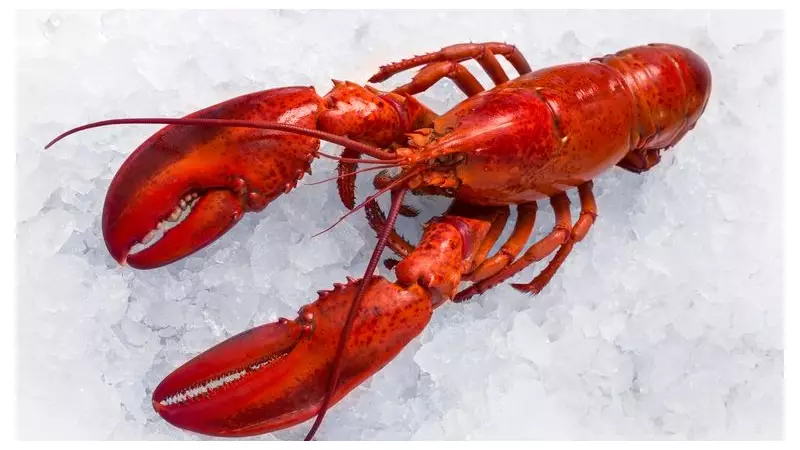 $400,000 Lobster Shipment Stolen in US Costco Supply Chain Heist