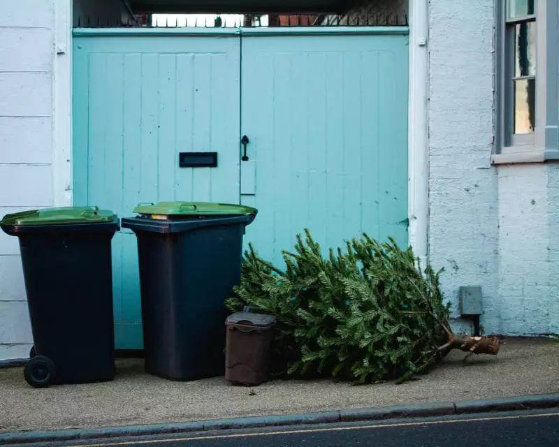 5 Earth-Friendly Ways to Tackle Your Holiday Waste in the UK
