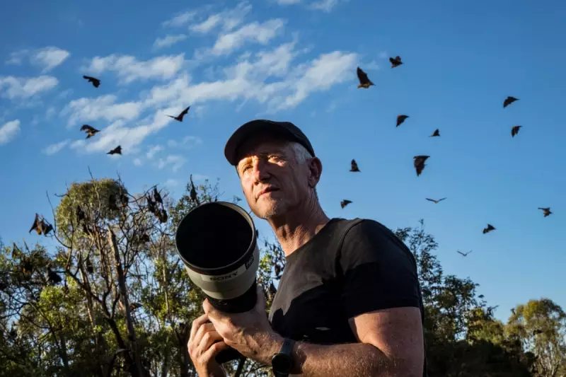 50,000 Images of 'Sky Puppies': The Photographer Fighting for Flying Foxes