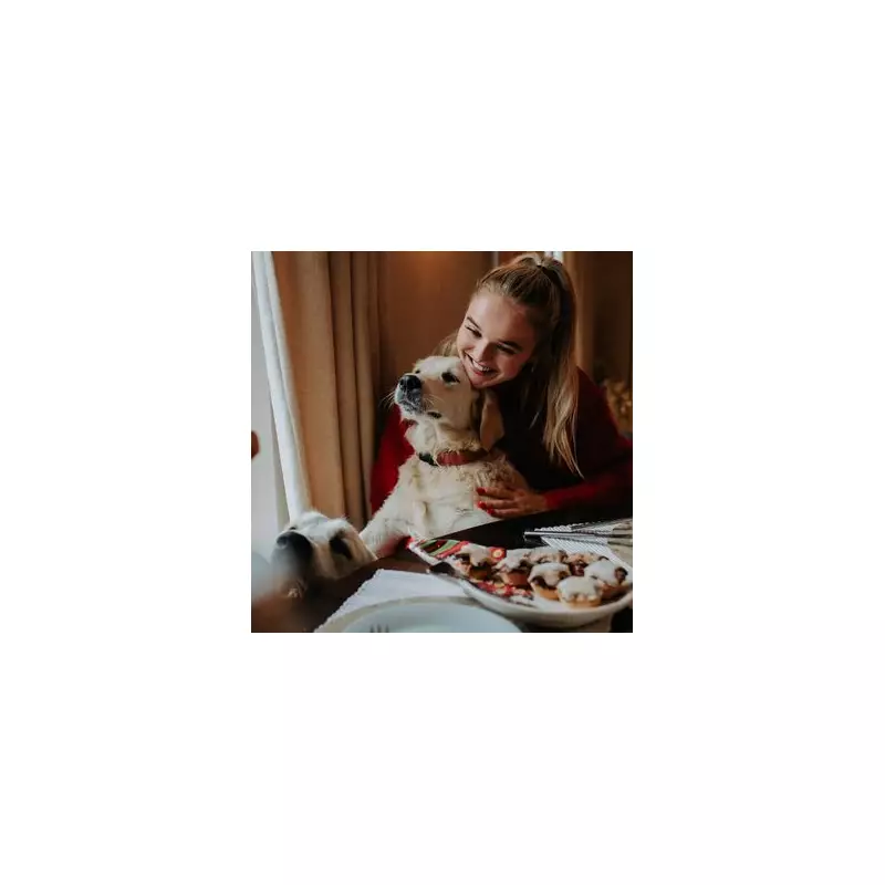 6 Festive Foods to Keep From Your Dog This Christmas to Avoid Vet Bills