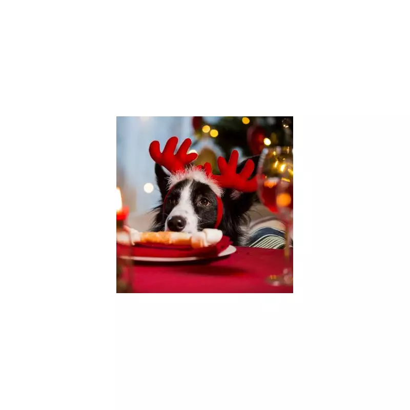 7 Deadly Christmas Foods for Dogs: Vet Warning to UK Pet Owners