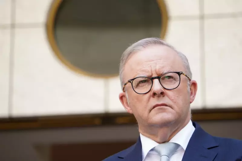 Albanese Cuts MP Family Travel: Business Class Axed, Economy Only