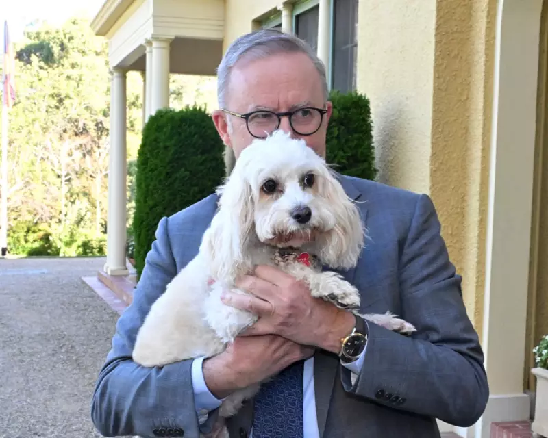 Albanese's Summer Reading List: Six Books for the PM's Holiday