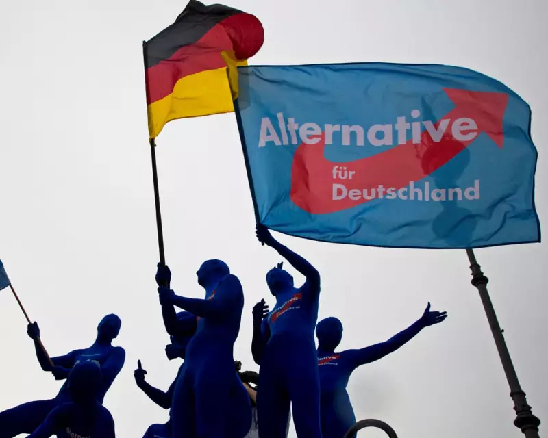 Analysis: Five Key Drivers Behind Germany's Far-Right Surge