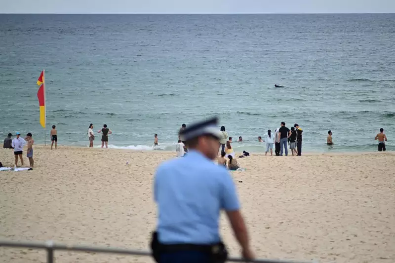 Australia's Gun Laws Must Evolve After Bondi Attack, Says Public Health Expert