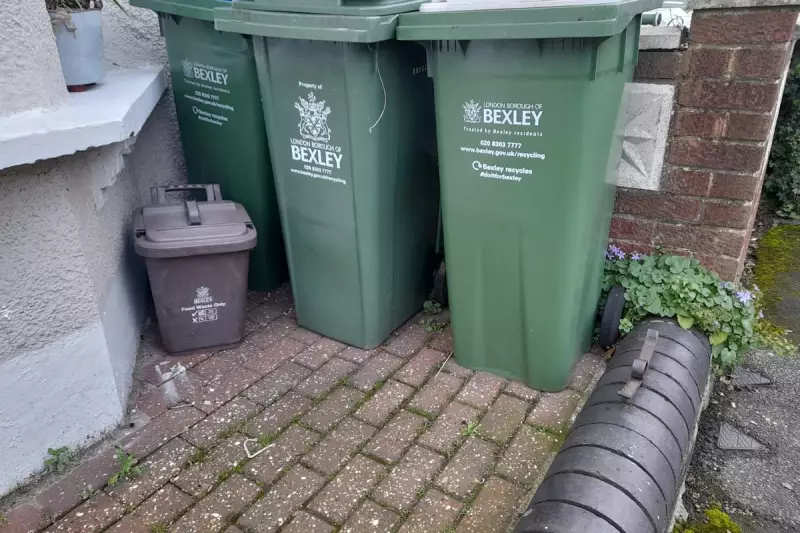 Bexley Festive Bin Collection Changes: Christmas Tree Disposal Guide