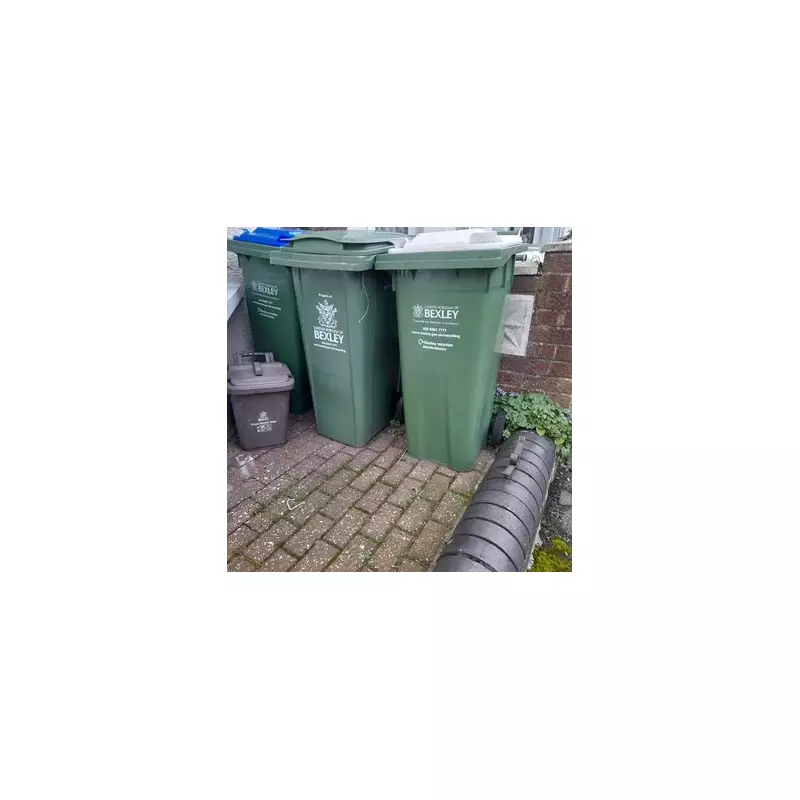 Bexley Festive Bin Collections: Christmas Tree Disposal & Recycling Guide