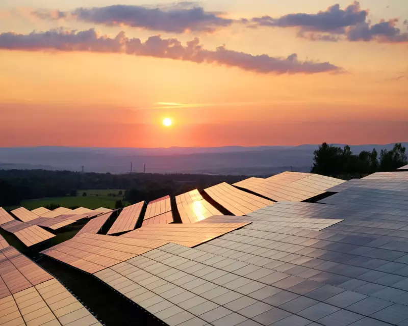 Bill McKibben: Solar & Wind Power Can 'Shave Tenths of a Degree' Off Global Heating