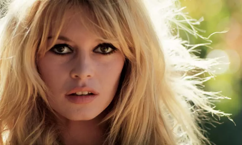 Brigitte Bardot at 91: From French Screen Siren to Animal Rights Firebrand