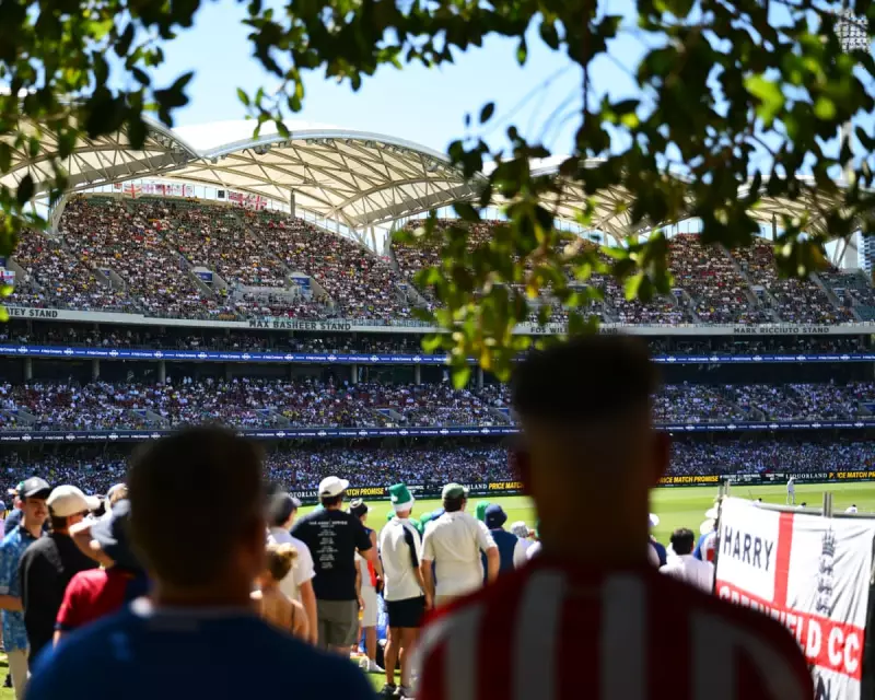 Carey's Century Rescues Australia on Scorching Adelaide Day
