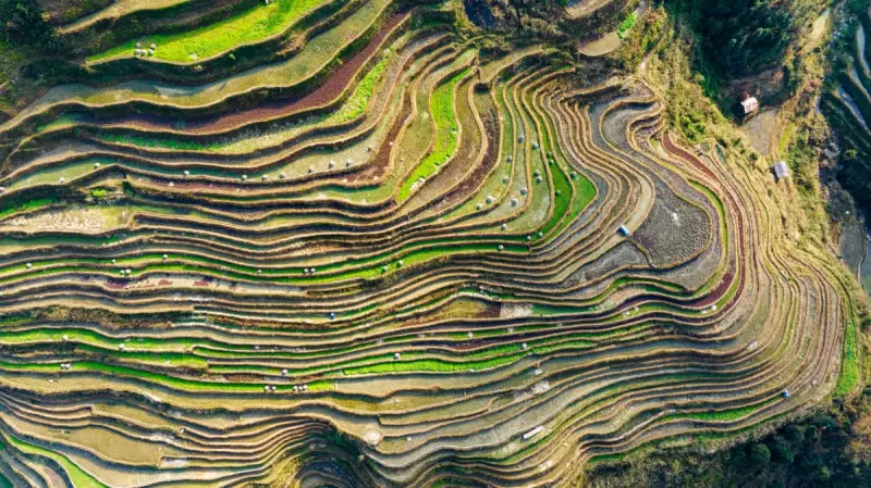 China's Rural Unrest Soars 70% as Migrants Return to Land Disputes