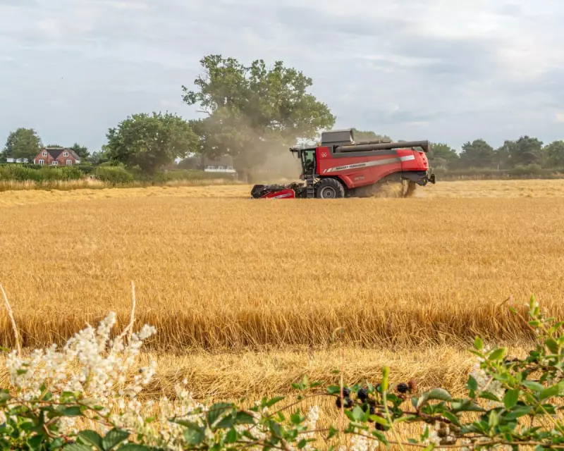 CO2 Rise Makes Food More Calorific But Less Nutritious, Study Warns