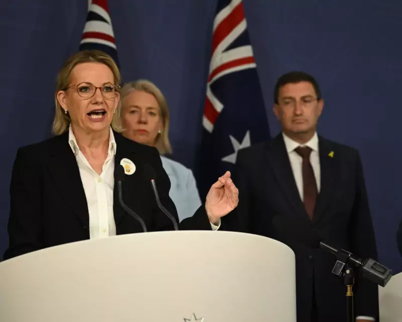 Coalition links Palestine recognition to Bondi attack in fiery press conference