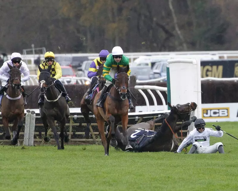Constitution Hill's Future in Doubt After Third Fall in Four Starts at Newcastle