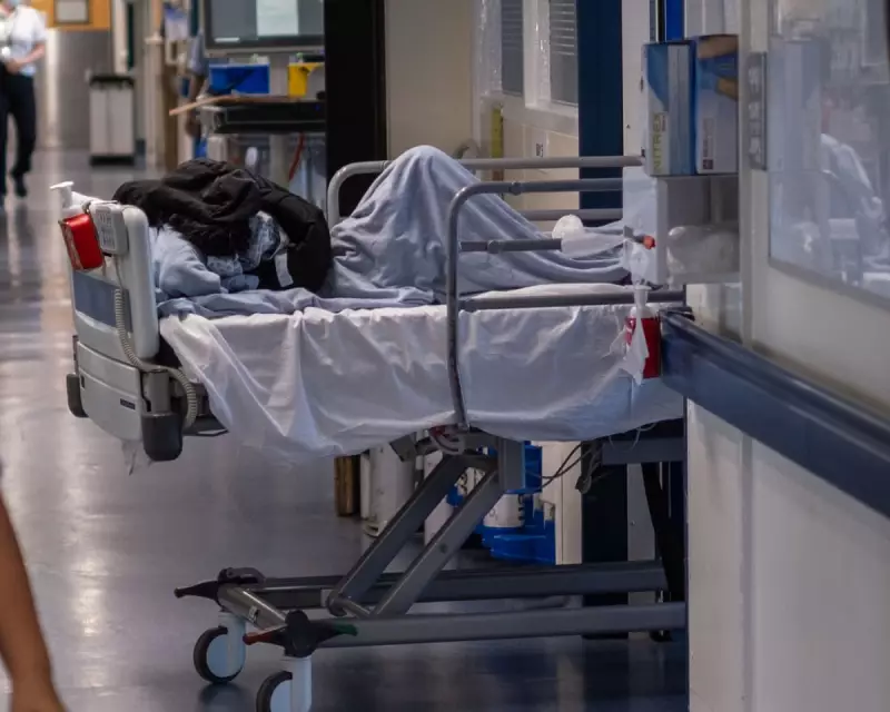 Corridor Care Crisis: 1 in 5 A&E Patients Treated in Hallways, Warns Top Doctor