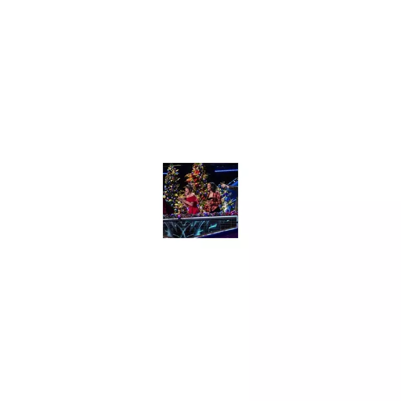 Dermot O'Leary Crowned Winner of The Masked Singer Christmas Special 2025