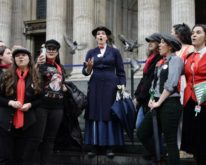 Digested Week: A Sinkhole, Octopus Invasion and the Perfect Christmas