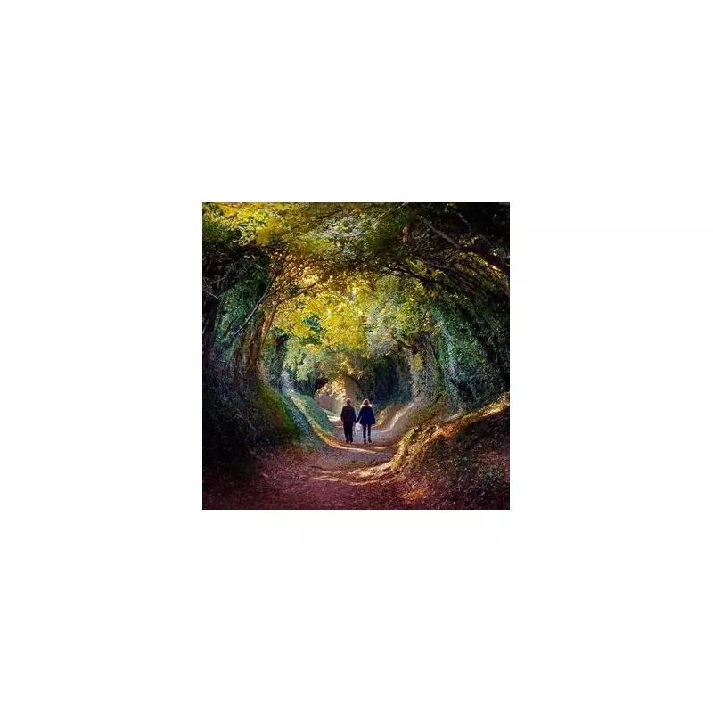 Escape London: Discover the Magical Halnaker Tree Tunnel Walk 90 Minutes Away