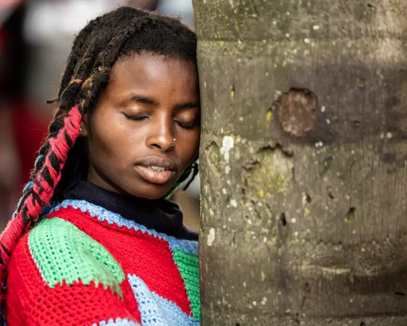 EU's Landmark Anti-Deforestation Law 'Dismantled' by Loopholes and Delays