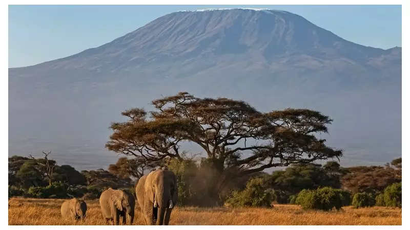 Five dead in Kilimanjaro helicopter crash during medical evacuation
