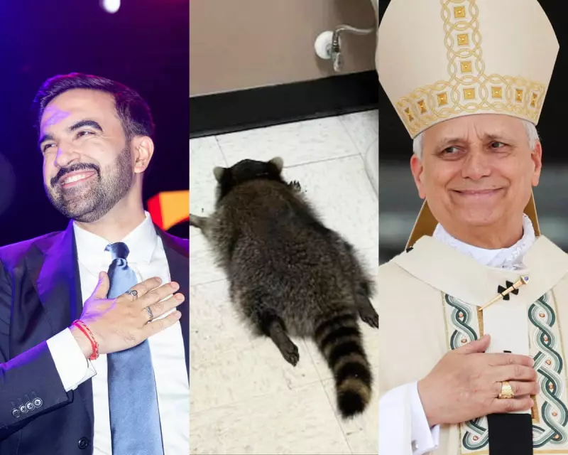 From a Drunk Raccoon to a New Pope: Guardian Readers' Uplifting 2025 Stories