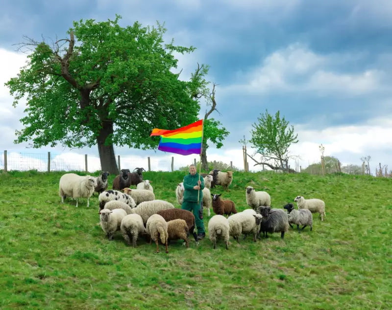 Gay Sheep Fashion Show in London Debuts Rainbow Wool Collection