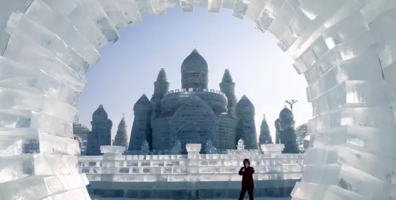 Global Snapshot: Ice Sculptures, Strikes and Evictions on Wednesday