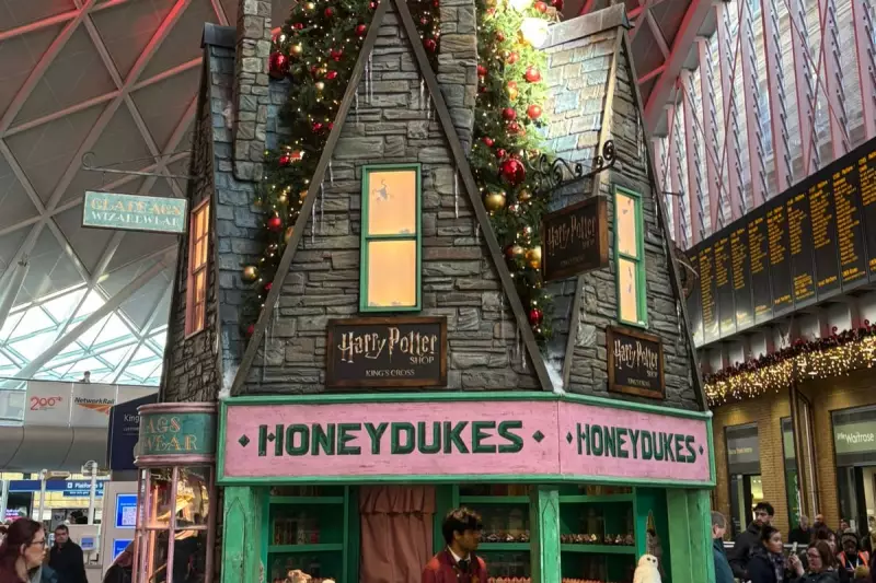 Harry Potter's Magical Christmas Tree Arrives at King's Cross Station
