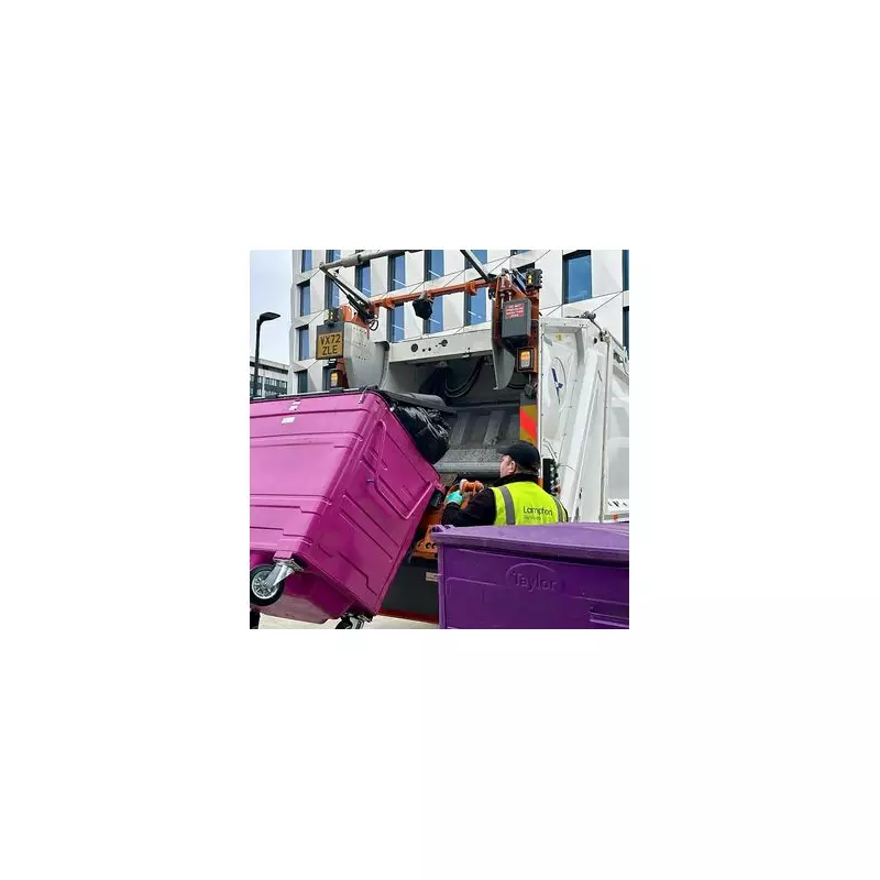 Hounslow Christmas Bin Collection Changes & Tree Recycling Guide