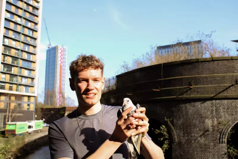 How a Falling Pigeon Revealed Manchester's Secret Animal Rescue Network