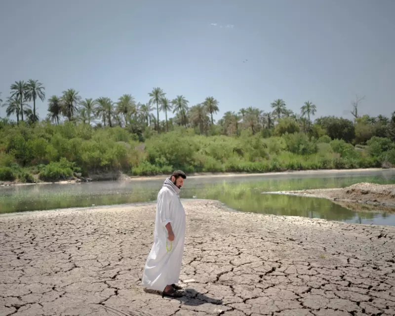 Iraq's Tigris River faces extinction: Pollution and dams threaten ancient lifeline