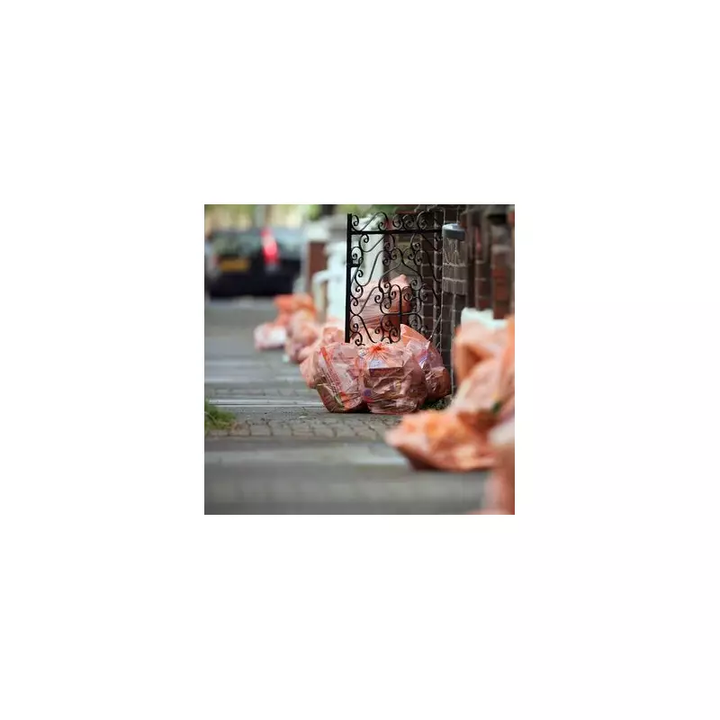 Lambeth Christmas Bin Collection Changes & Free Tree Recycling 2025