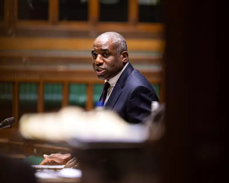 Lammy's Jury Trial Overhaul: A 'Sticking Plaster' for a Broken Justice System?
