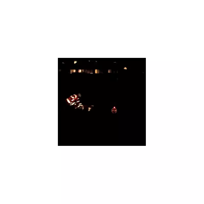 London Bridge Near Miss: Photo Shows Train 60m From Workers