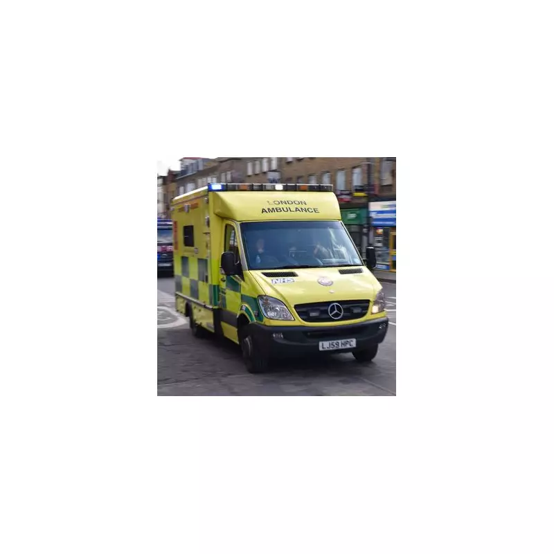 London paramedic sacked after festive Facebook photos expose sick leave lie