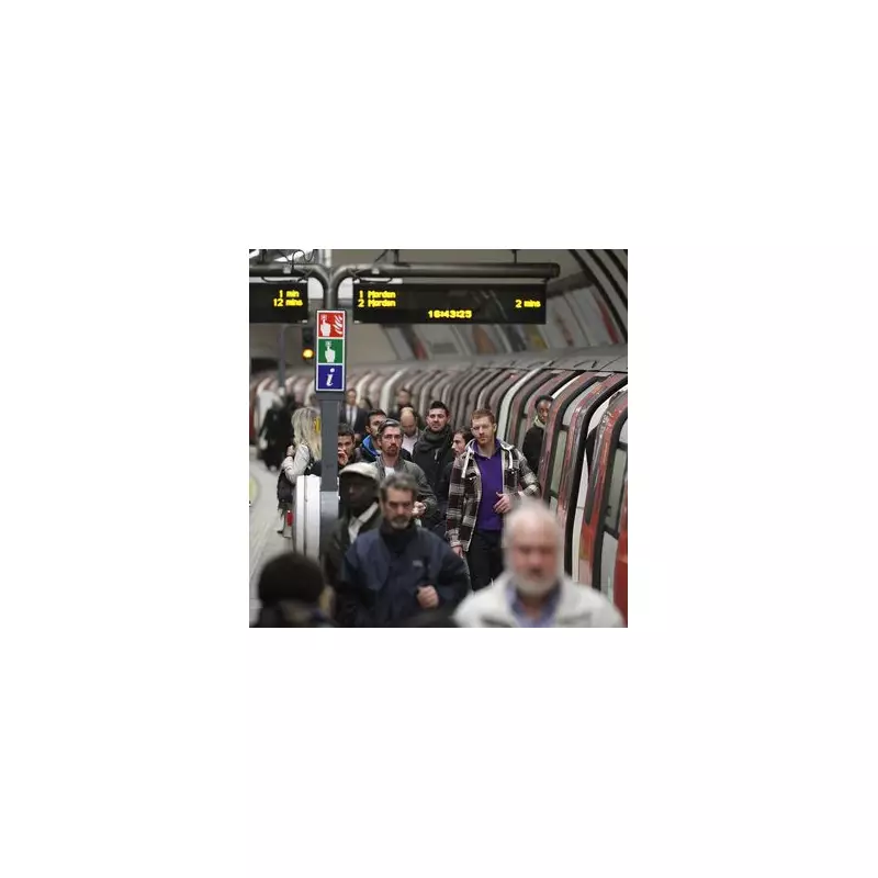 London Underground chaos: Entire line suspended amid points failure