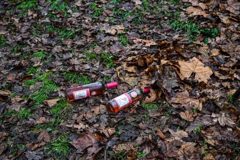 London's Royal Parks to Close for New Year's Eve Fireworks: Key Details