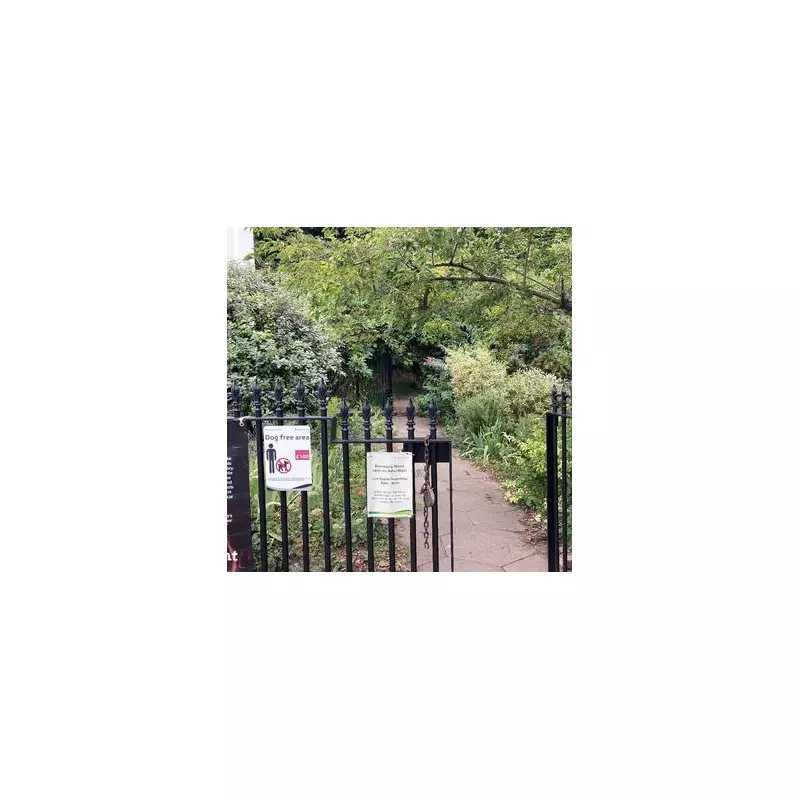 London's Tiniest Nature Reserve: A Secret Winter Walk in Islington