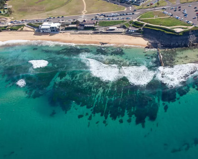 Man Charged After Displaying Nazi SS Tattoos at Newcastle Beach