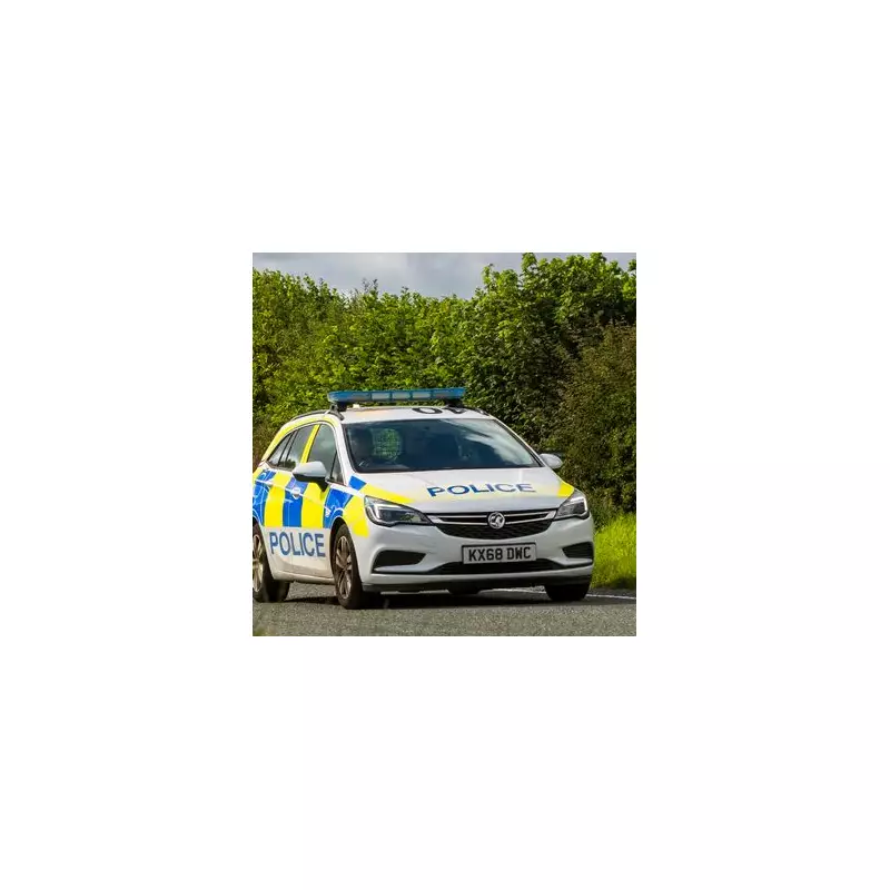 Man in 30s Dies After Lorry Collision on North Circular Road, East London