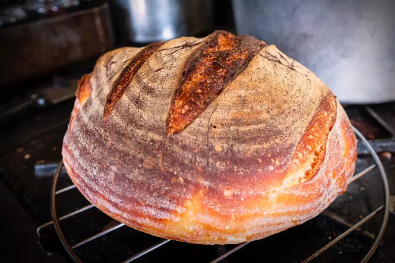 Mastering Sourdough: How Tech and Technique Transform Home Baking