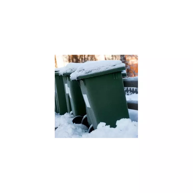 Merton Christmas bin collection changes: Revised dates for Wimbledon, Morden, Mitcham